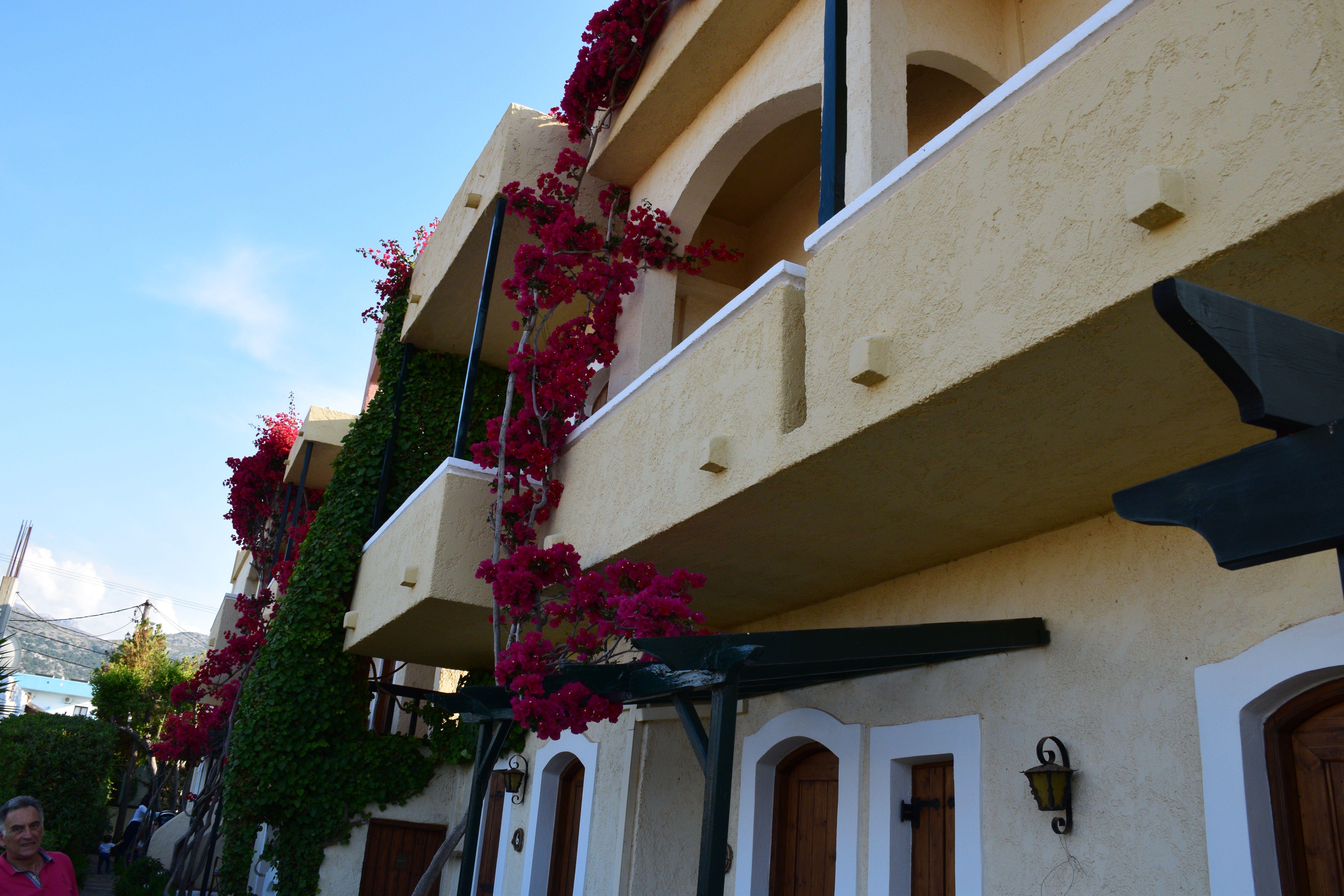 Mila Malia Studios Hotel Exterior foto