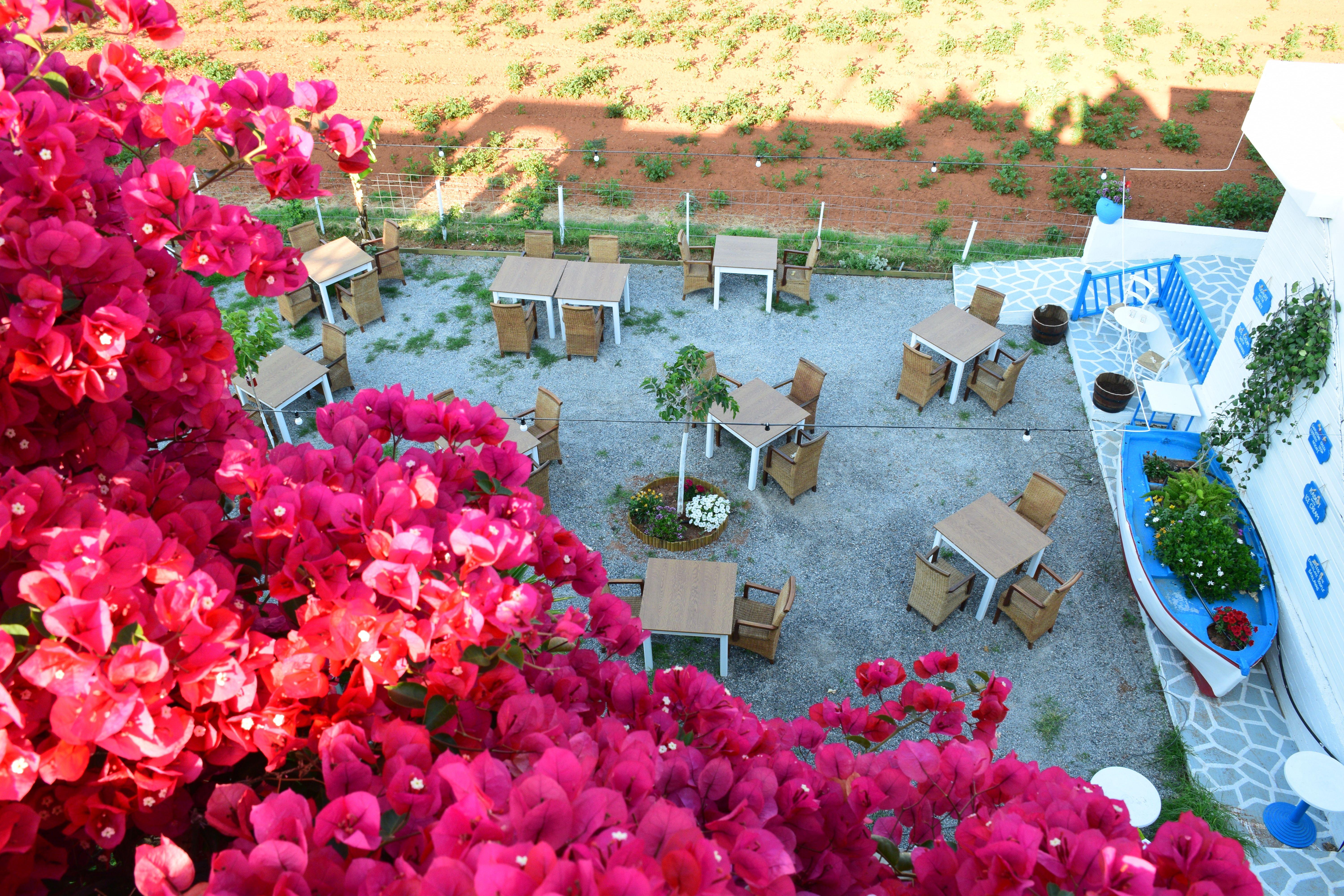 Mila Malia Studios Hotel Exterior foto