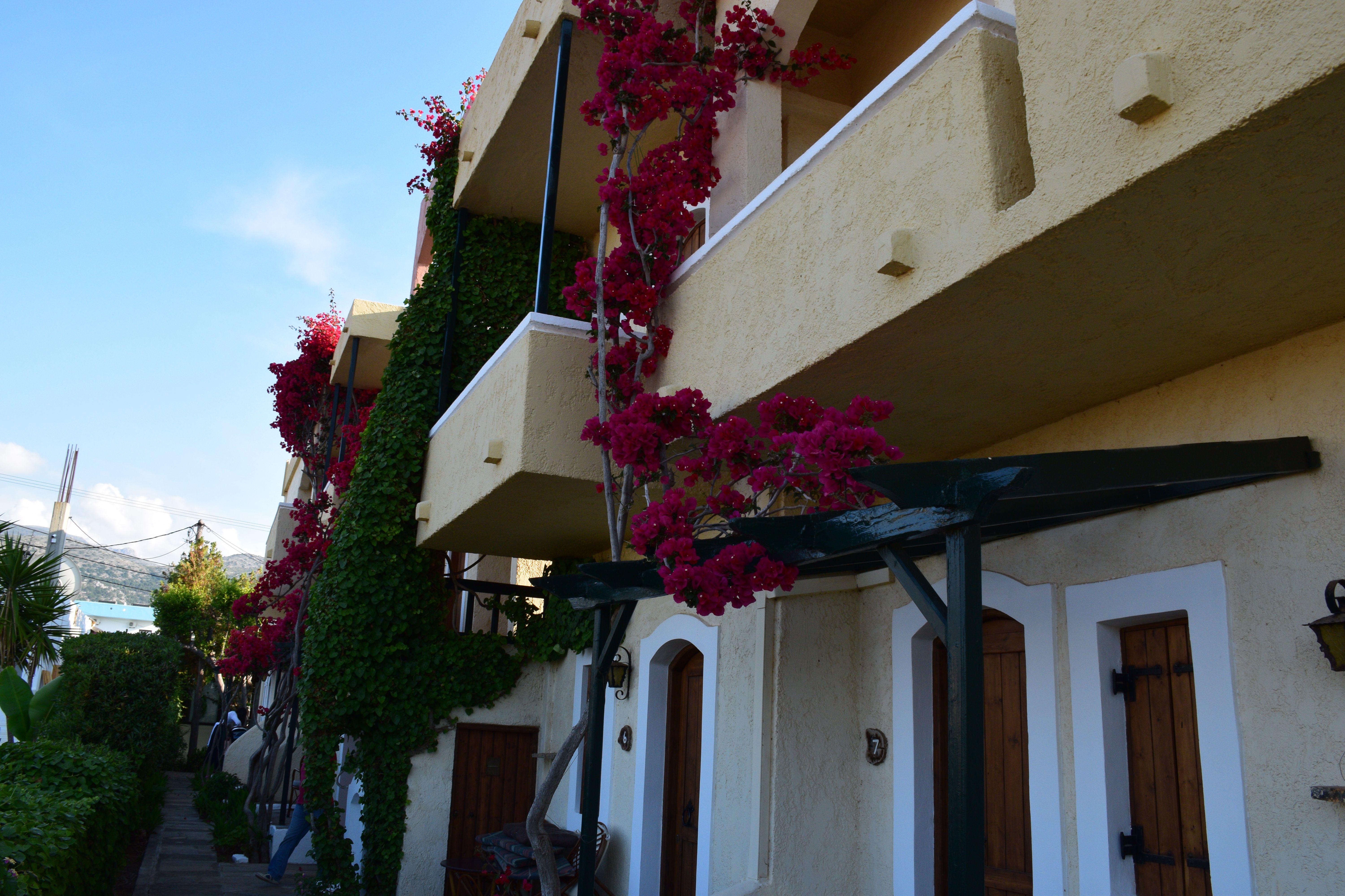 Mila Malia Studios Hotel Exterior foto