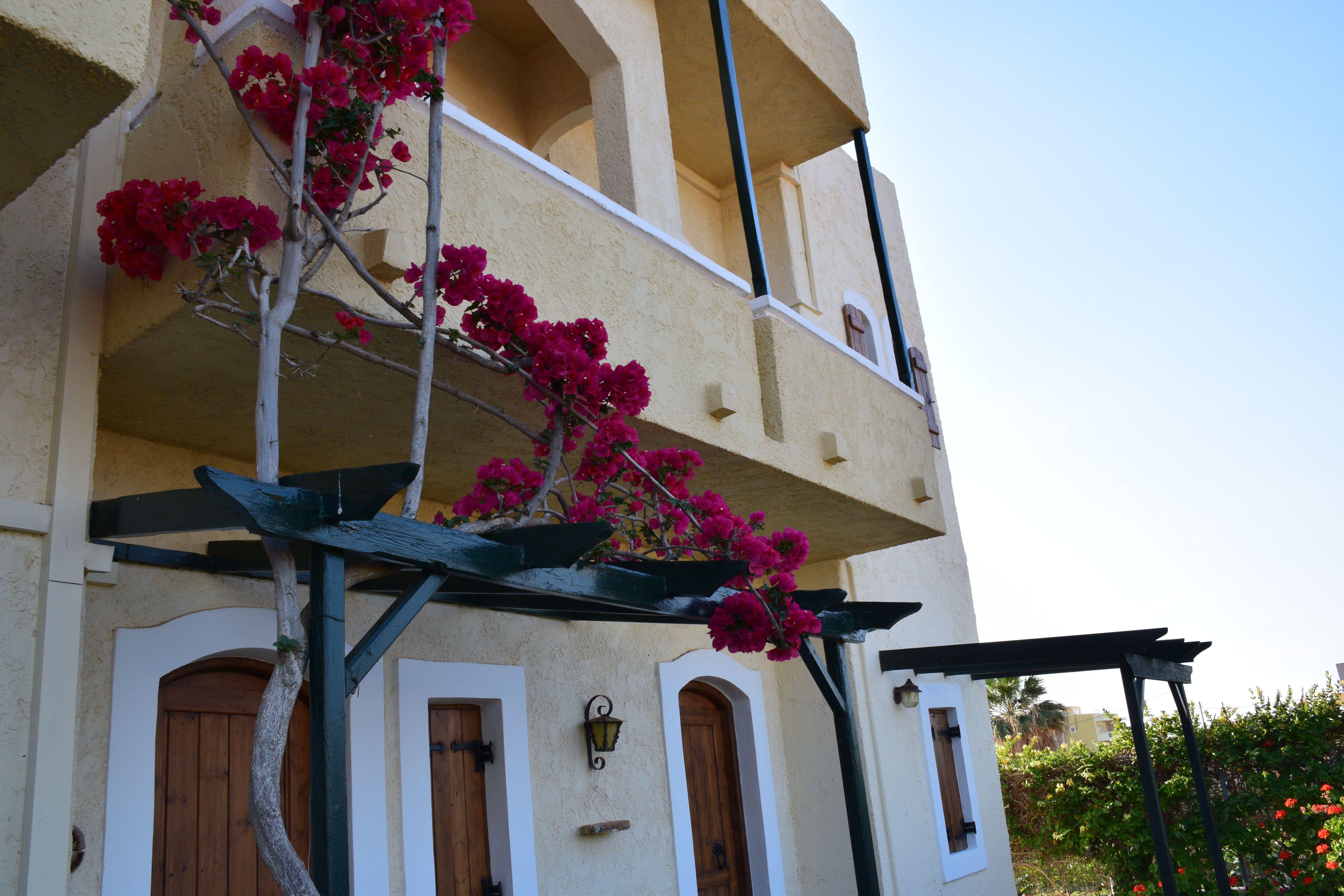Mila Malia Studios Hotel Exterior foto